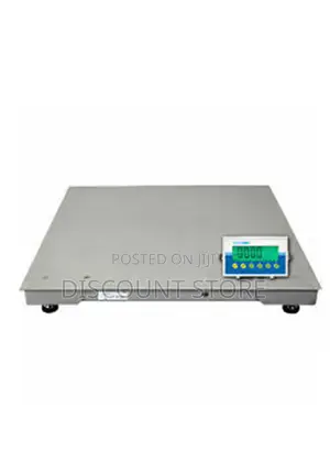 Mild Stainless Steel Factory Platform Weigh Scales.