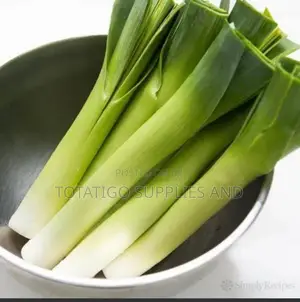Green Fresh Leek