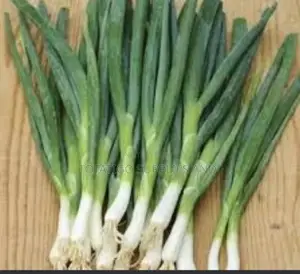 Green Onions