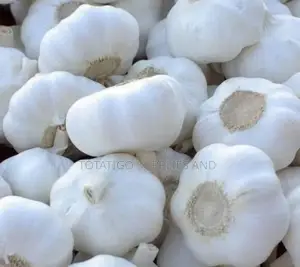 Imported Garlic