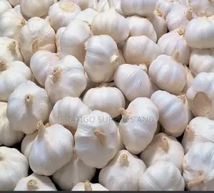 Imported Garlic