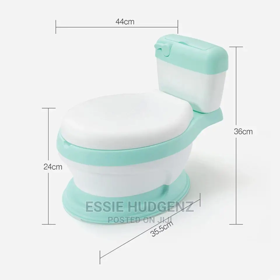 Baby Flashy Potty
