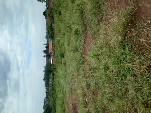 Kira Two First Class Plots on Sell