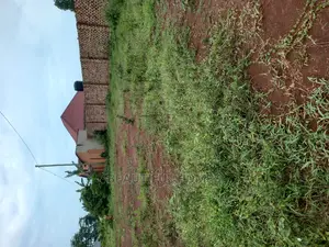 Kira Classic Plots on Sell