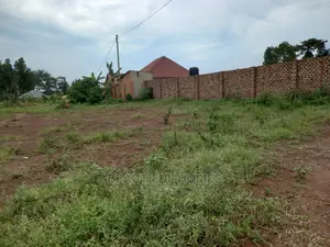 Well Price Plots in Kira on Sell