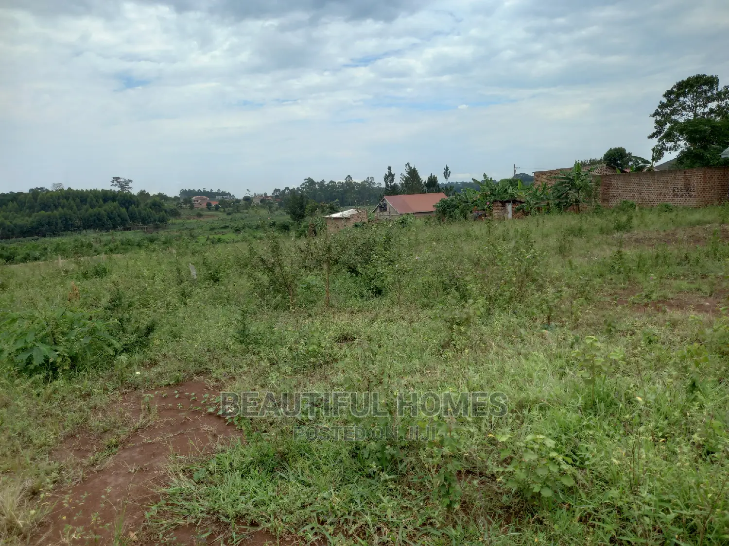Kira Double Plots on Sell