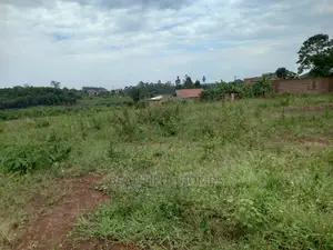 Kira Double Plots on Sell