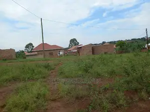 Kira Amazing Estate on Sell