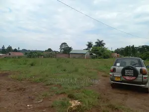Kira Two Noble Plots on Sell