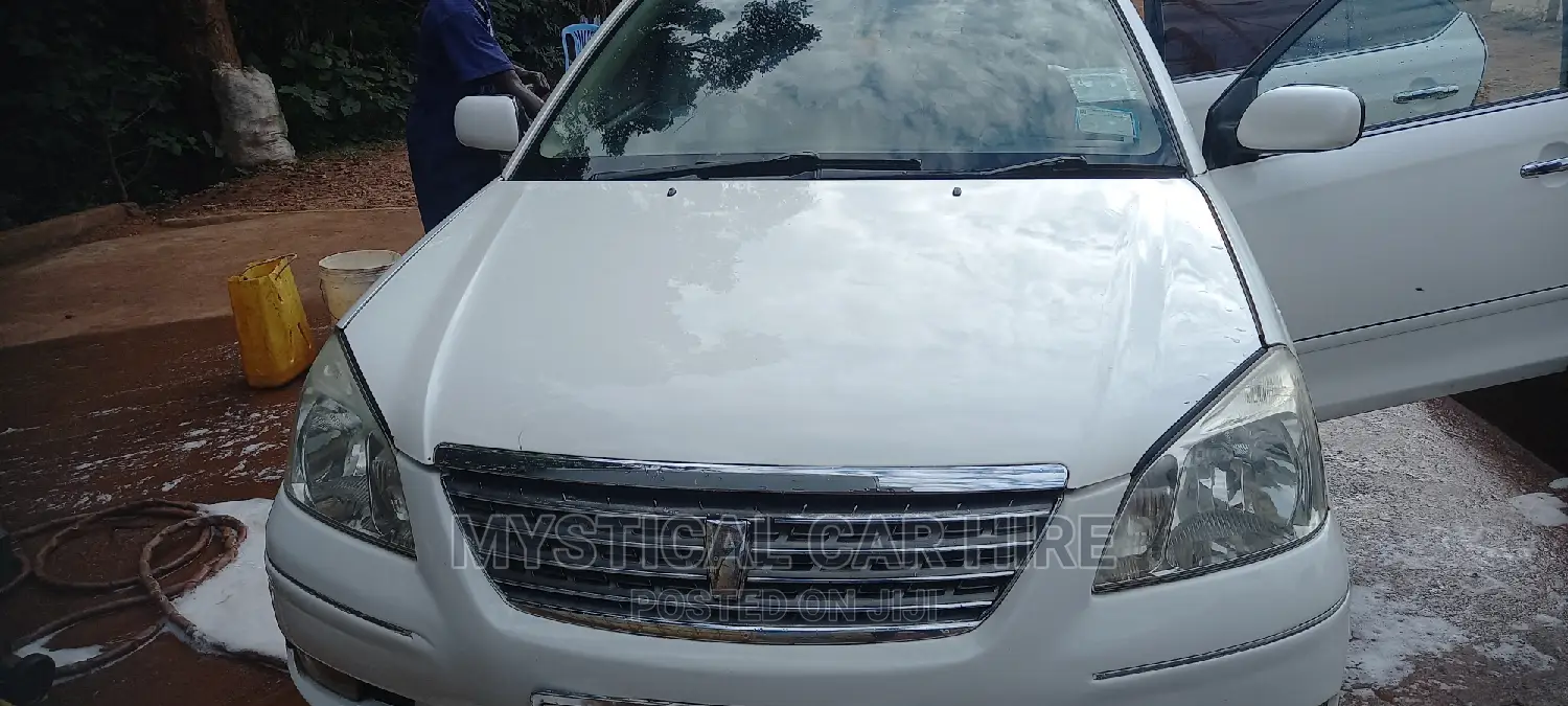 Mystical Tours and Car Hire Company