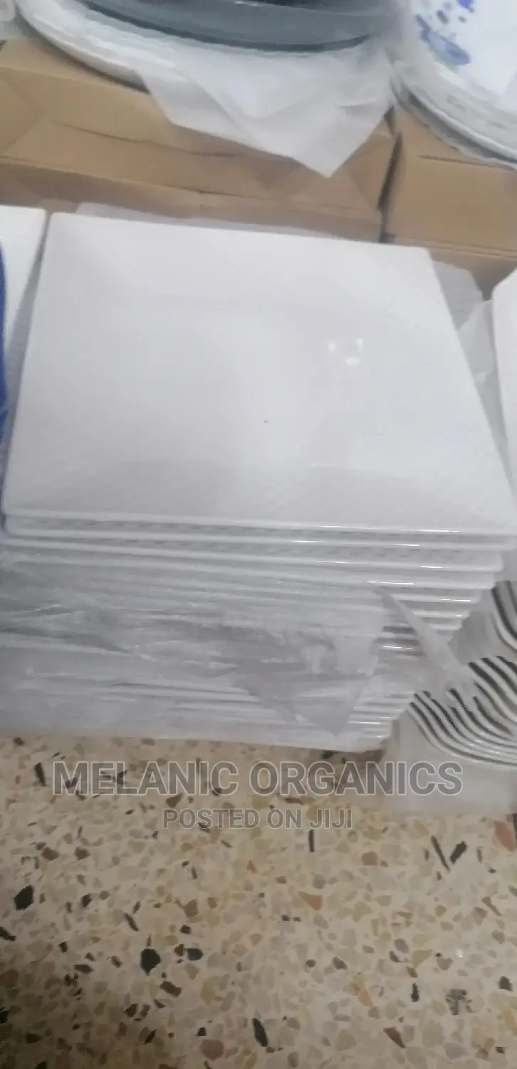 Square Dinner Plate 12 Pieces a Dozen