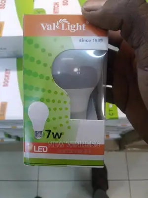 Motion Sensor Bulb