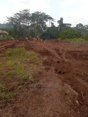 Affordable Land Scarping,Levelling,Compound Designing.