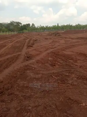 Affordable Land Scarping,Levelling,Compound Designing.
