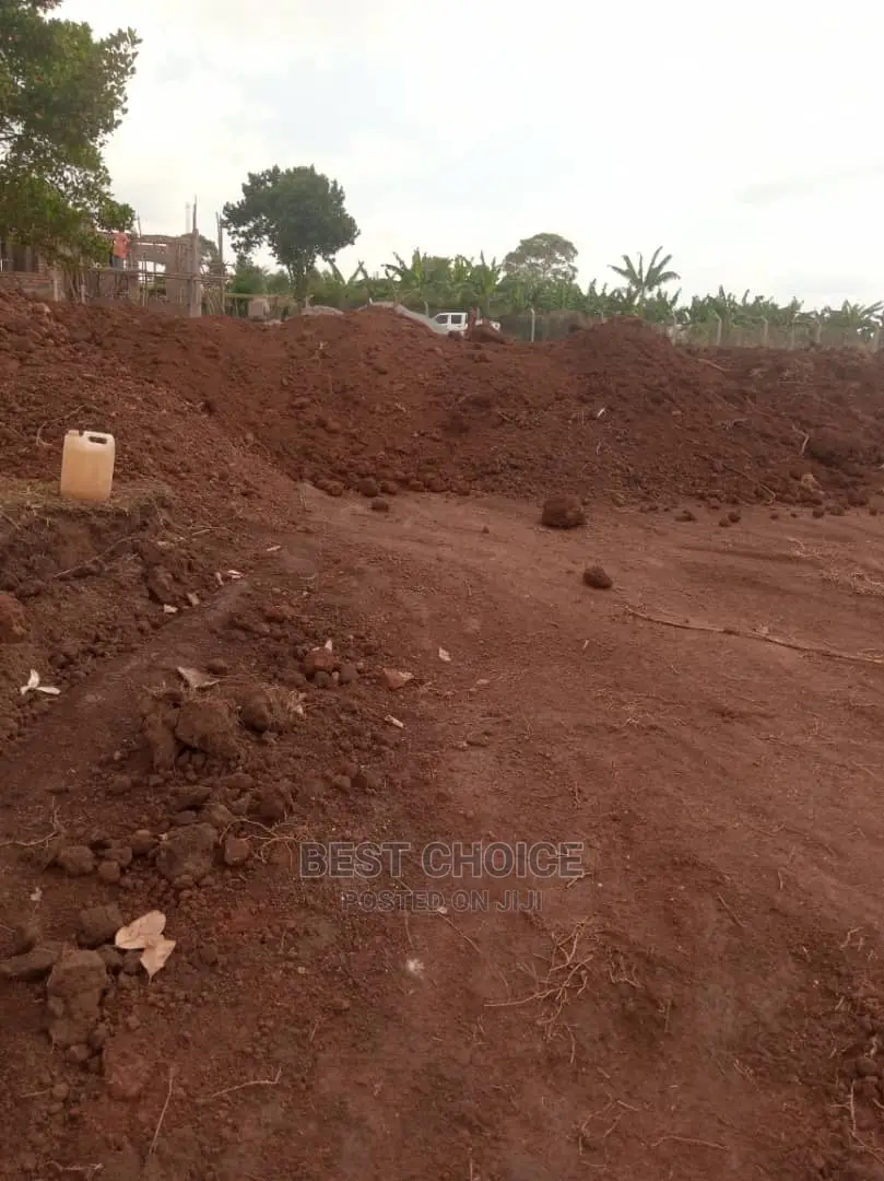Affordable Land Scarping,Levelling,Compound Designing.
