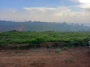 Kira Two Plots of Land on Sale