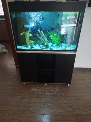 Fabulous and Crystal Clear Water Aquarium