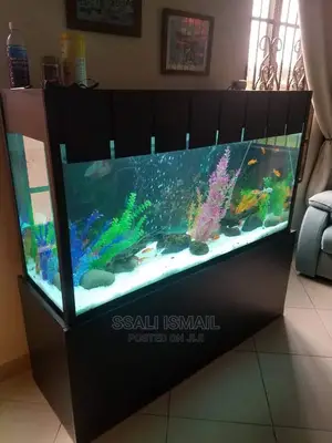 Best Aquarium With Exellent Interiors