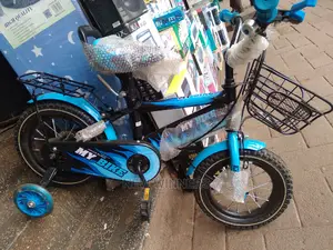 Bicycle Size 12