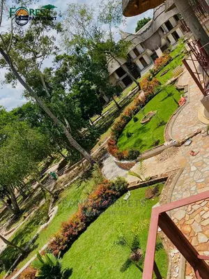 Artificial Tuff Grass