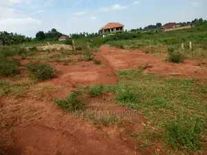 Kira Plot for Sale