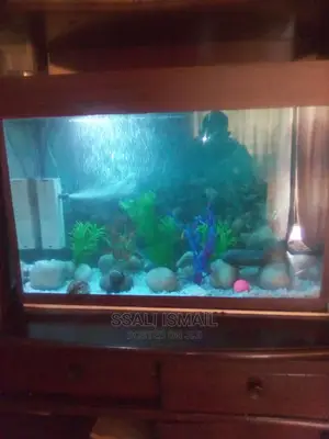 Smart Mahogany Colour Aquarium