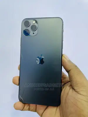 Apple iPhone 11 Pro Max 256 GB Gray