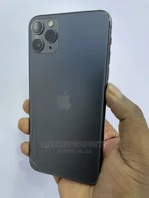 Apple iPhone 11 Pro Max 256 GB Gray