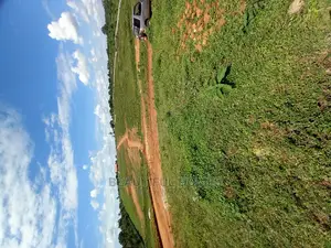 Kasangati 25 Decimals in Well Fenced Estate Quicksell