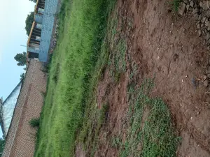 Kira Residential Plot on Sell