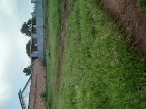 Kira Lovely Plot on Sell