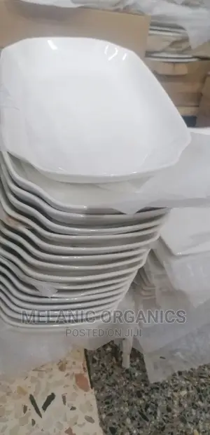 Fish Plates6 Pieces