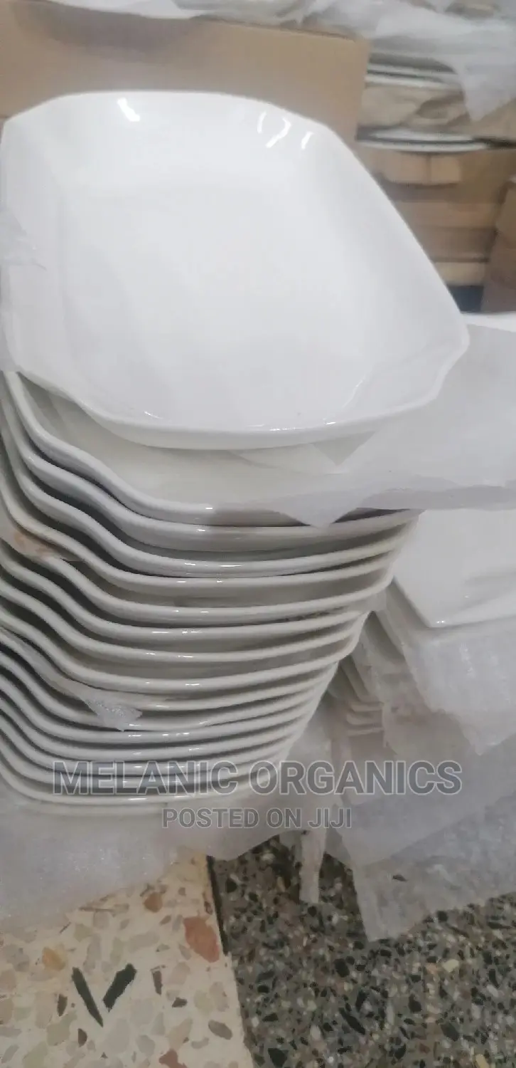 Fish Plates6 Pieces