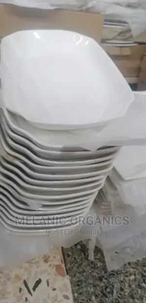 Fish Plates6 Pieces