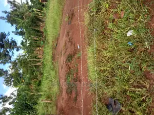 Kira Well Priced Land on Sale