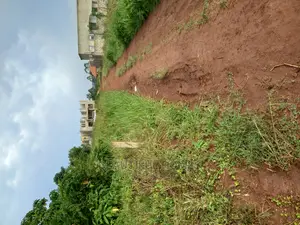 Kira Fancy Plot for Sale