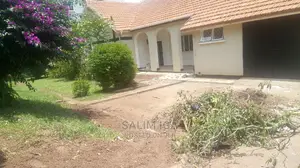 4bdrm Bungalow in Kololo Property, Central Division for Rent