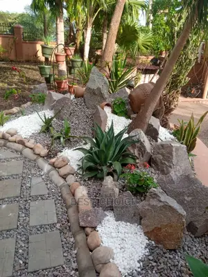 Splendid Compound Designing and Land Scarping.