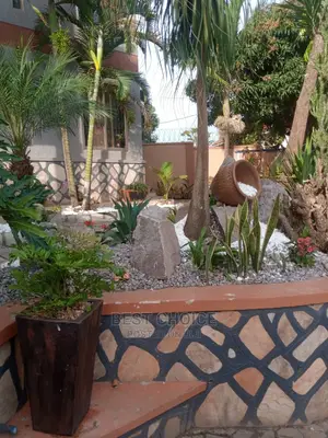 Classic Compound Designing Designs/The Best Land Scarping