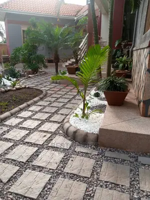 We Are Experts in Compound Designing,Paving,Walk Ways Set Up