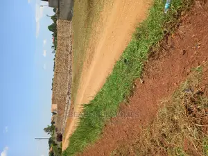 Nakwero Beautiful Plot on Sell