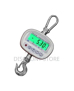PCE Crane 300kg Weighing Equipment.