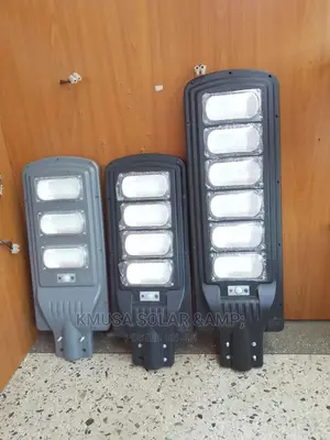 Solar Security Light