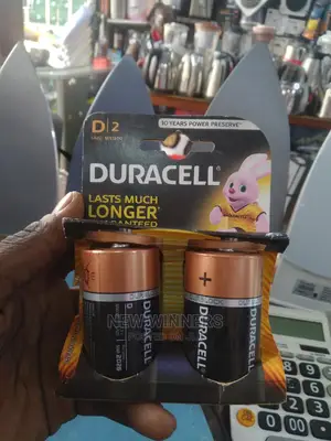 Duracell Size D Alkaline Batteries