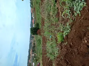 Kira Good Estate Plots on Sell