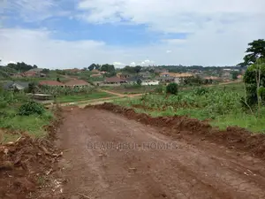 Kira Few Plots Left in This Estate
