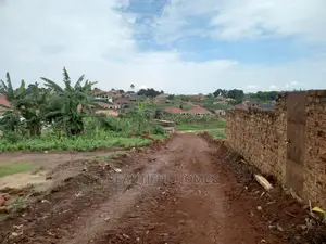 Kira Amazing Land on Sale