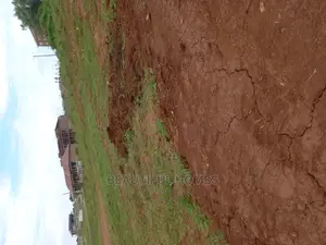 Kira Flat Land on Sell