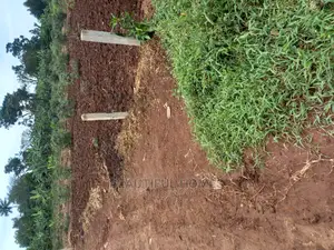 Nakwero Plot for Sell