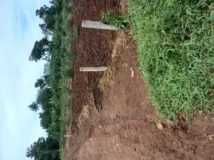 Plot at Nakwero on Sell